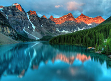 郑钦文将缺席十五运会网球比赛